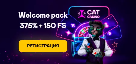 Cat casino бонус при регистрации